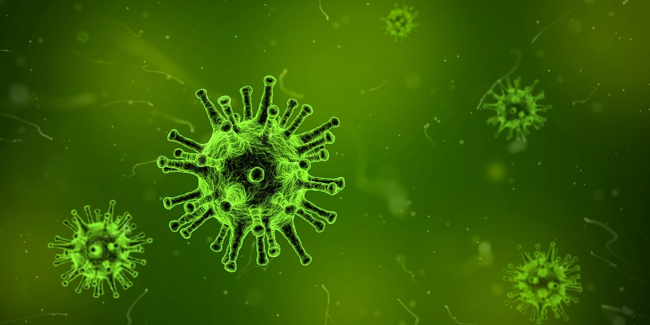 כיצד לתקן וירוס: מדריך מקיף